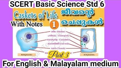 Caskets of Life |Jeevante Cheppukal |Part 3 Class 6 | SCERT Basic Science Unit 1  Questions Answers