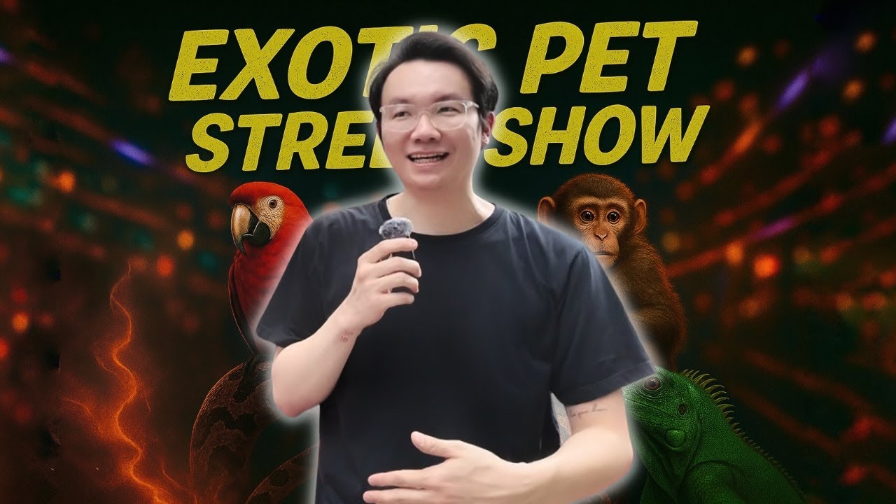 EP70: Exotic Street Show