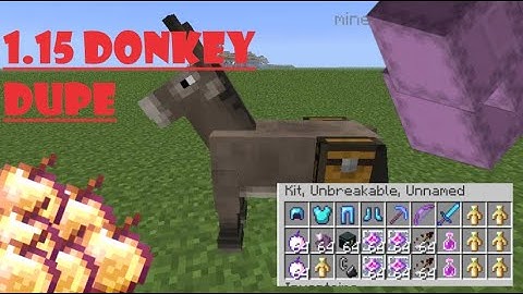 1.15-1.15.2 Donkey Dupe (Works on servers)