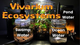 I Created 5 Tiny Ecosystems