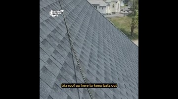 🦇 How Bats Get Into Roof Ridges & How Critter Control Protects Your Attic 🏠