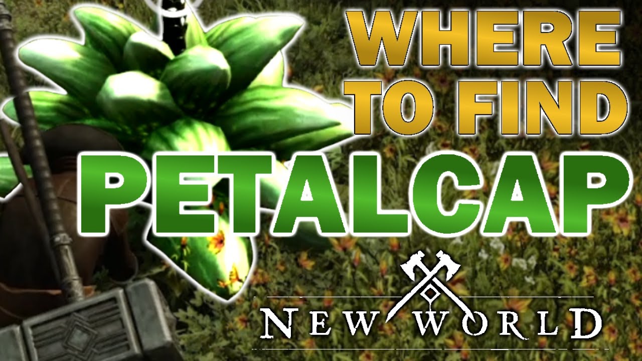 The BEST place to get PETALCAP in New World YouTube