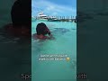 speed swimming with sharks in Bahamas #ishowspeed #ishowspeedshorts #ishowspeedshorts #shorts