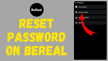 How to Reset Bereal Password (2024) | Bereal Tutorial