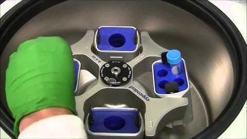 Video 2 Passaging Cells