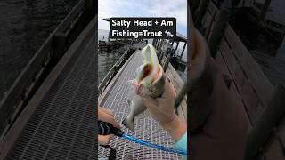 Speckled Trout couldn’t resist AM Fishing lures today. #fishing #trucha #trout #saltwater