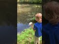 Rock versus brick