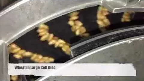 SeedRight Seed Plates Wheat Demonstration