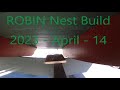 Robin Nest Day 01 2023 04 14