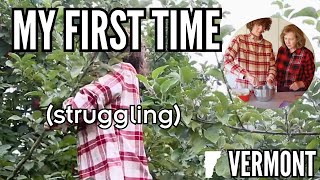 PICKING APPLES IN VERMONT (it's harder than it looks)