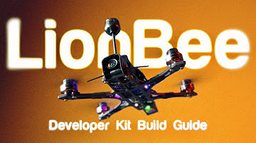 The Next-Gen 18650 FPV Drone is Here - LionBee Developer Kit