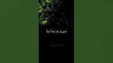 #القرانالكريم #reels #quran #fypシ #سبحان_آلله #قرآن #قراءة_خاشعة #تلاوات #راحة_نفسية #القدس #فلسطين