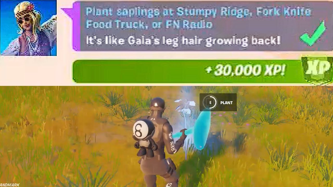 Plant saplings at Stumpy Ridge, Fork Knife Food Truck, or