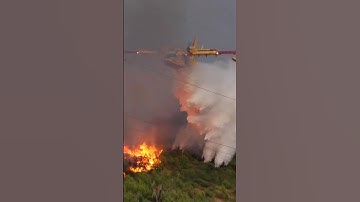 BULLSEYE! - Canadair CL-415 Water Bomber