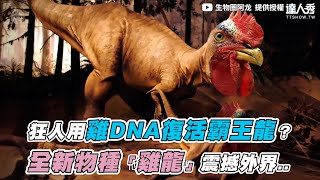 【狂人用雞DNA復活霸王龍全新物種「雞龍」震撼外界..】生物圈阿龙