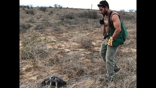 Falconry hunting with a Goshawk by Trevor Jahangard 12,303 views 4 years ago 6 minutes, 33 seconds