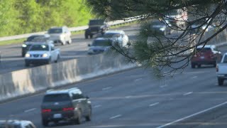 Carolinas ‘high risk states’ for animal collisions, insurance company says