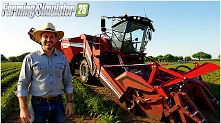 ELMCREEK FS25 #29 - ANCORA UN PÓ DI MAIS E TANTE PATATE - GAMEPLAY ITA
