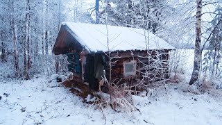 livе alone in the forest, off grid cabin, found an abandoned tiny house in the woods