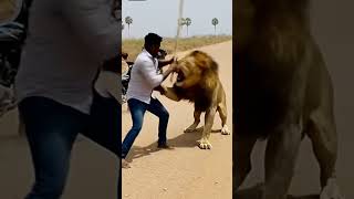 Lion Attack Man #shorts