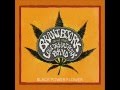 Brant bjork and the low desert punk band  buddha time everything fine