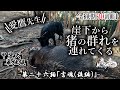 甲斐犬単独猟 第二十六話「言魂(後編)」Japanese hunting kaidog