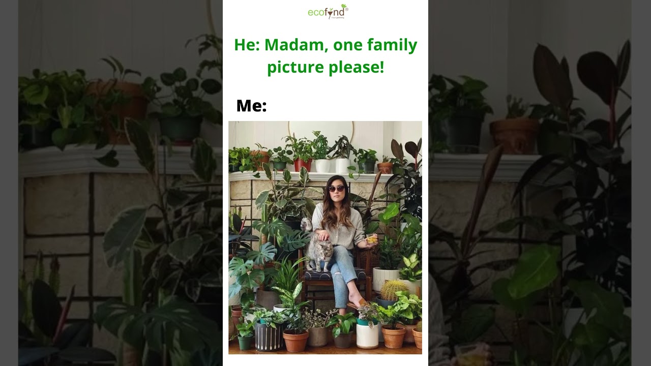 Plant Meme 