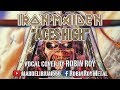 Iron maiden  aces high vocal cover by robin roy