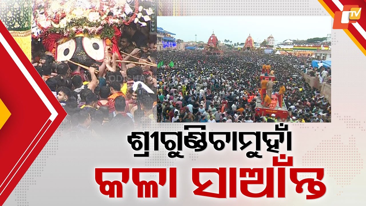 Gundicha Yatra begins: Lord Jagannath, Balabhadra & Subhadra start nine-day journey amid huge crowd