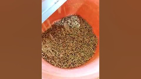 KISHMISH color sorting machine by MARK COLOR SORTER COIMBATORE, 8220440623