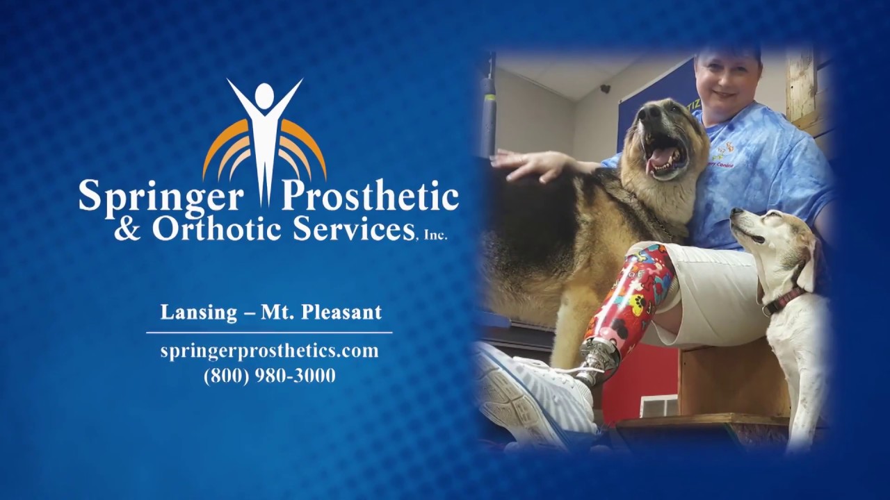 Canine (Life After Amputation) | Springer Prosthetic & Orthotic Services