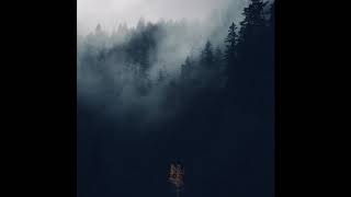 Longwinter - Devils Trumpet