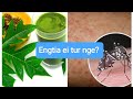 Thingfanghma hnah Dengue damdawi ṭha ber  