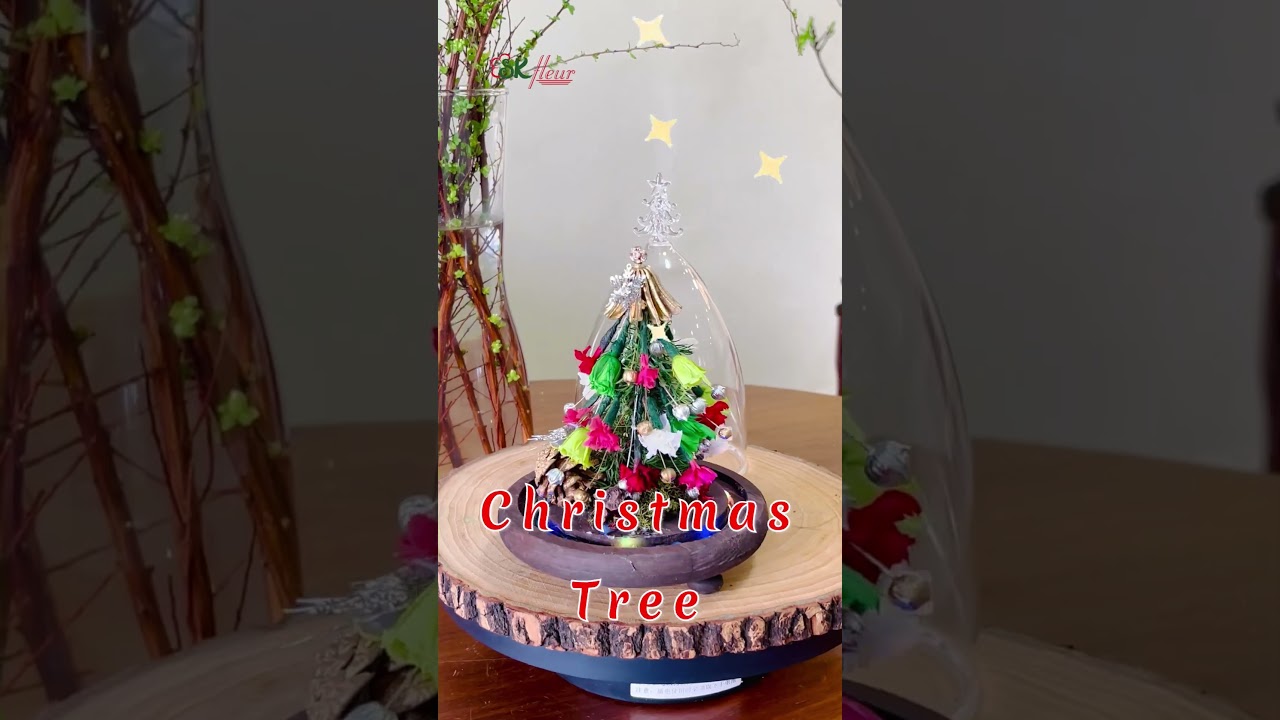 𝗧𝗶𝗺𝗲𝗹𝗲𝘀𝘀 𝗖𝗵𝗿𝗶𝘀𝘁𝗺𝗮𝘀 - 𝗧𝗵𝗲 𝗽𝗲𝗿𝗳𝗲𝗰𝘁 𝗖𝗵𝗿𝗶𝘀𝘁𝗺𝗮𝘀 𝗱𝗲𝗰𝗼𝗿𝗮𝘁𝗶𝗼𝗻 𝗳𝗼𝗿 𝗮𝗻𝘆 𝘀𝗽𝗮𝗰𝗲 