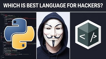 Python vs. Bash: The Best Language for Hackers?