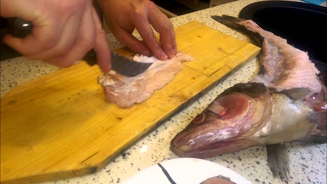 Разделка терпуга на филе. Как правильно разделать судака. Чистка судака. Судак очищенный. Как почистить судака.