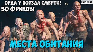 🧟50 Фриков. Орда у Поезда Смерти(Death Train Horde). #daysgone #жизньпосле #deathtrain #horde