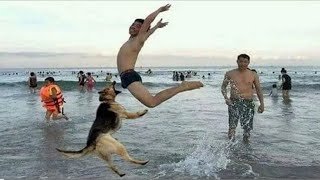 Unusual memes compilation v103