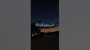 قَالَ رَبِّ اشْرَحْ لِي صَدْرِي || سورة طه #محمد_صديق_المنشاوي 🤍🌱