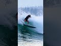 MENTAWAI MADNESS!