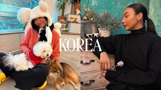 KOREA VLOG | going to a dog cafe, nail appt, and exploring gangnam