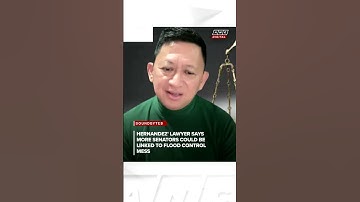 Brice Hernandez lawyer: More senators could be linked to flood control mess | ANC