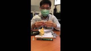 INSUPEN (BAHASA MELAYU)