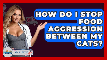 How Do I Stop Food Aggression Between My Cats? - Ask A Pet Vet