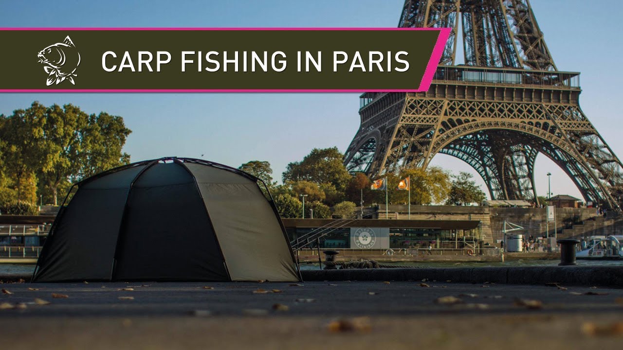 Carp Fishing In Paris! YouTube