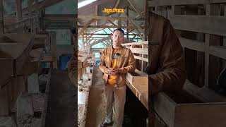 Daun singkong dapat membuat ternak kembung benar, sebab dari itu jika mau diberikan dilayukan dahulu