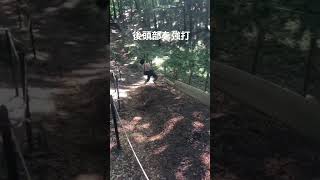 彼女が怪我寸前でした