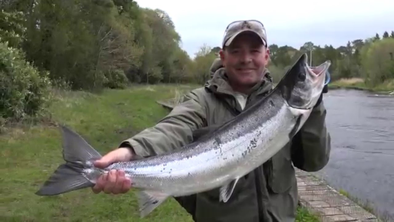 Drowes Salmon Fishery - Spring Salmon Fishing In Ireland 