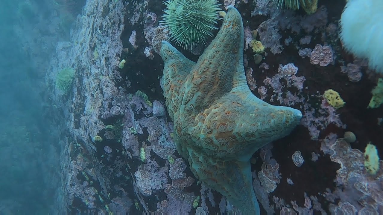 East Sooke, Cabin Point