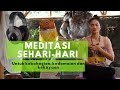 Meditasi sehari hari meditasi untuk ketenangan kebahagiaan dan kekayaan